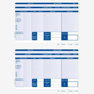 Iris Compatible A4 2 Per Sheet Payslip (Pack 1000) FY95 57121CF