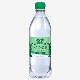 Radnor Hills Sparkling Bottled Water 500ml (Pack 24) - 0201036 52998CP