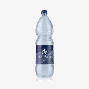 Radnor Hills Still Bottled Water 500ml (Pallet 78 Packs of 24) - 201037x78 50098XX