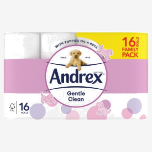 Andrex Gentle Clean Toilet Rolls White (Pack 16) 1102122 41745CP