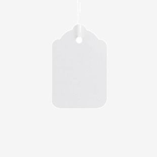 ValueX Reinforced Coloured Strung Tag 37x24mm White (Pack 1000) T257838 57838CT