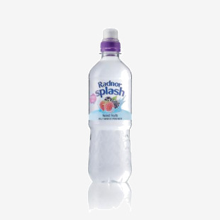 Radnor Hills Splash Still Water Forest Fruits 500ml (Pack of 24) 0201049 CPD00401