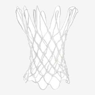 White Basketball Net