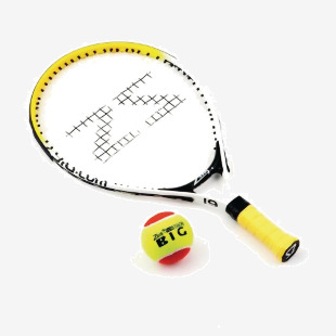 Zsig Tennis Raquet - 19inch