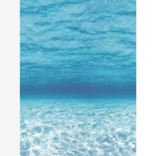 Fadeless Design Roll - Ocean