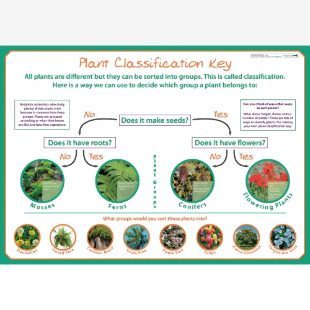 Classifying Plants Poster