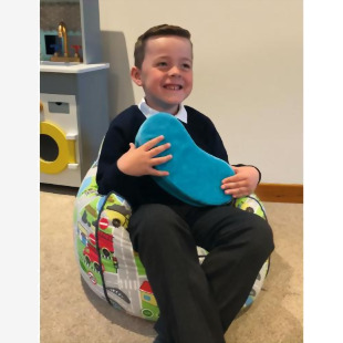 Sensory Bean Cushion