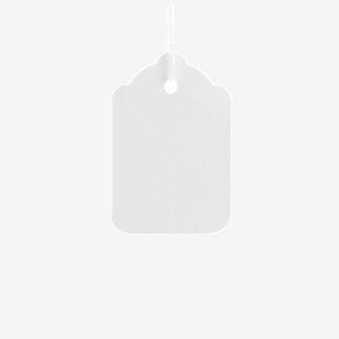 ValueX Reinforced Coloured Strung Tag 37x24mm White (Pack 1000) T257838 57838CT