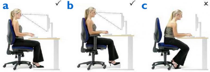 Graph Showing the Correct Posture for Sitting at a Desk 