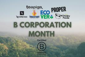 B Corporations Explained: What They Are and Why They Matter